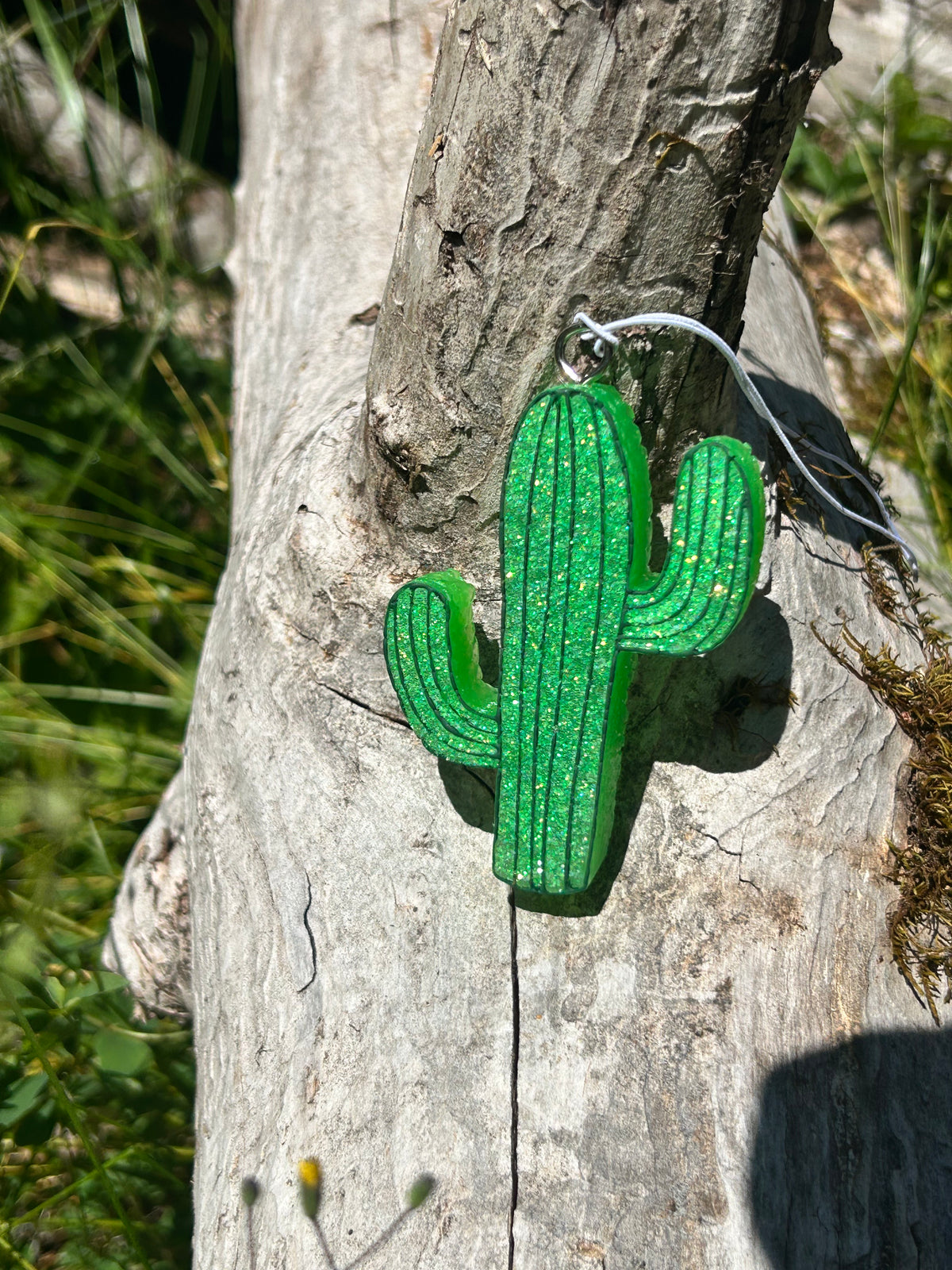 Cactus
